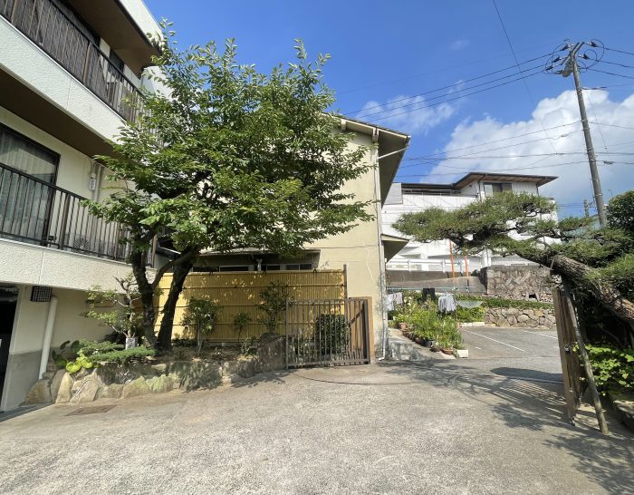 庭木剪定で明るい庭に