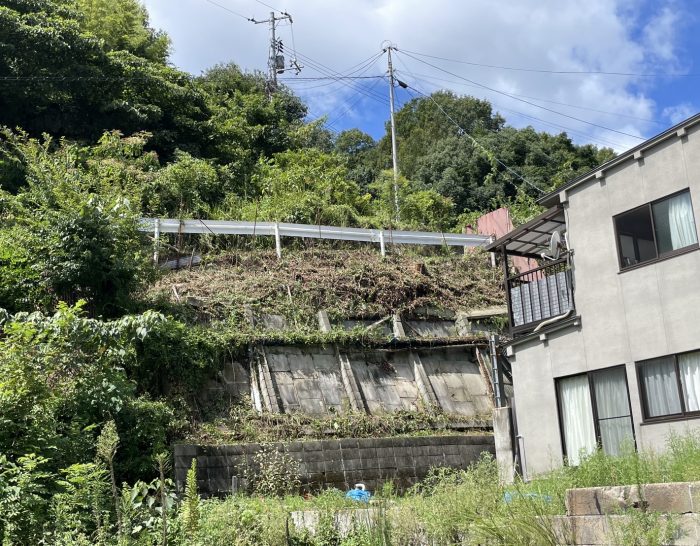 裏山の除草整備